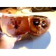 Silcobody, 600g